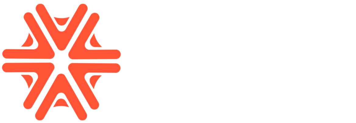 Auriseg